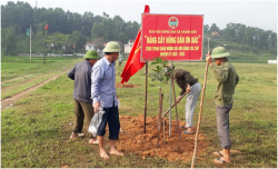 Phong trào "hàng cây Nông dân" trên quê hương Bác Hồ