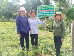 Hội nông dân xã Chiêu Lưu (Kỳ Sơn) trồng “Hàng cây nông dân ơn Bác”.