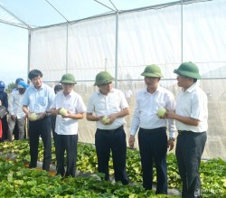 Nông dân Nghi Lộc hướng đến sản xuất nông nghiệp sạch