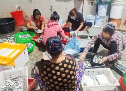 Nông dân xã Sơn Hải, huyện Quỳnh Lưu trao tặng hải sản cho vùng cách ly