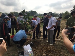 Ứng dụng chế phẩm vi sinh vật trong thâm canh cây bưởi tại xã Hạnh Lâm (Thanh Chương)