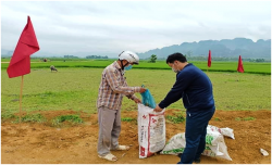 Quỳ Châu: Hội Nông dân xã Châu Tiến ra quân thu gom rác thải, bao bì thuốc BVTV