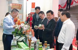 Gian hàng trưng bày, giới thiệu, quảng bá những thành tựu và sản phẩm OCOP của nông dân tỉnh Nghệ An