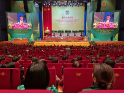 Chủ tịch Hội Nông dân Nghệ An trúng cử Ban Chấp hành Trung ương Hội Nông dân Việt Nam khóa VIII