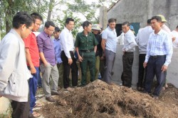 Hướng đi mới trong phát triển nông nghiệp ở Nghi Lộc