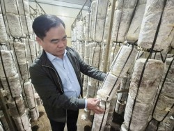 Hội Nông dân tỉnh Nghệ An làm việc tại các xã Vạn An, Nam Đàn, Kim Liên, Thiên Nhẫn, Đại Huệ