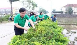 Phát huy vai trò nòng cốt của Hội Nông dân xã Quỳnh Anh trong phát triển kinh tế nông nghiệp bền vững