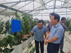 Tăng cường ứng dụng khoa học công nghệ, nâng cao hiệu quả sản xuất vụ Xuân