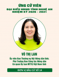 Tiểu sử đồng chí Võ Thị Lan - ứng cử viên đại biểu HĐND tỉnh Nghệ An nhiệm kỳ 2026 - 2031