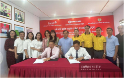 Tăng giá trị sản xuất cây chè, nâng cao thu nhập cho nông dân