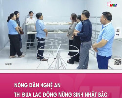 Nông dân Nghệ An thi đua lao động mừng sinh nhật Bác