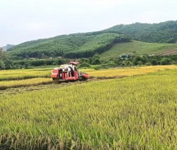 Nợ