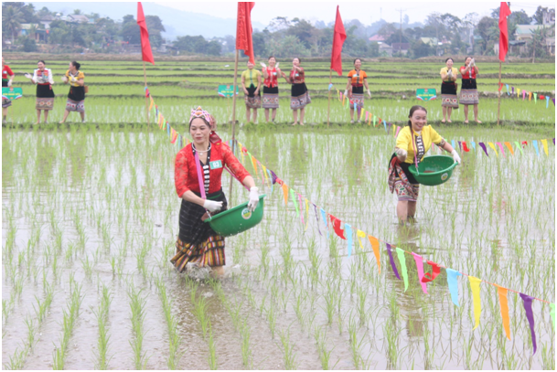 cac doi thi tham gia thi bon phan