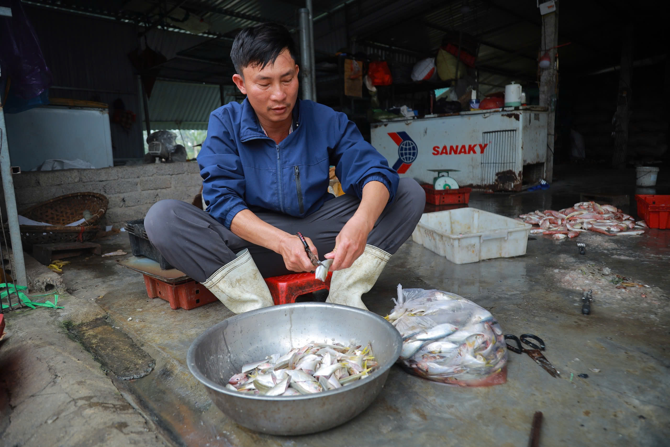 gen h ca vat la nguon thuc an chinh