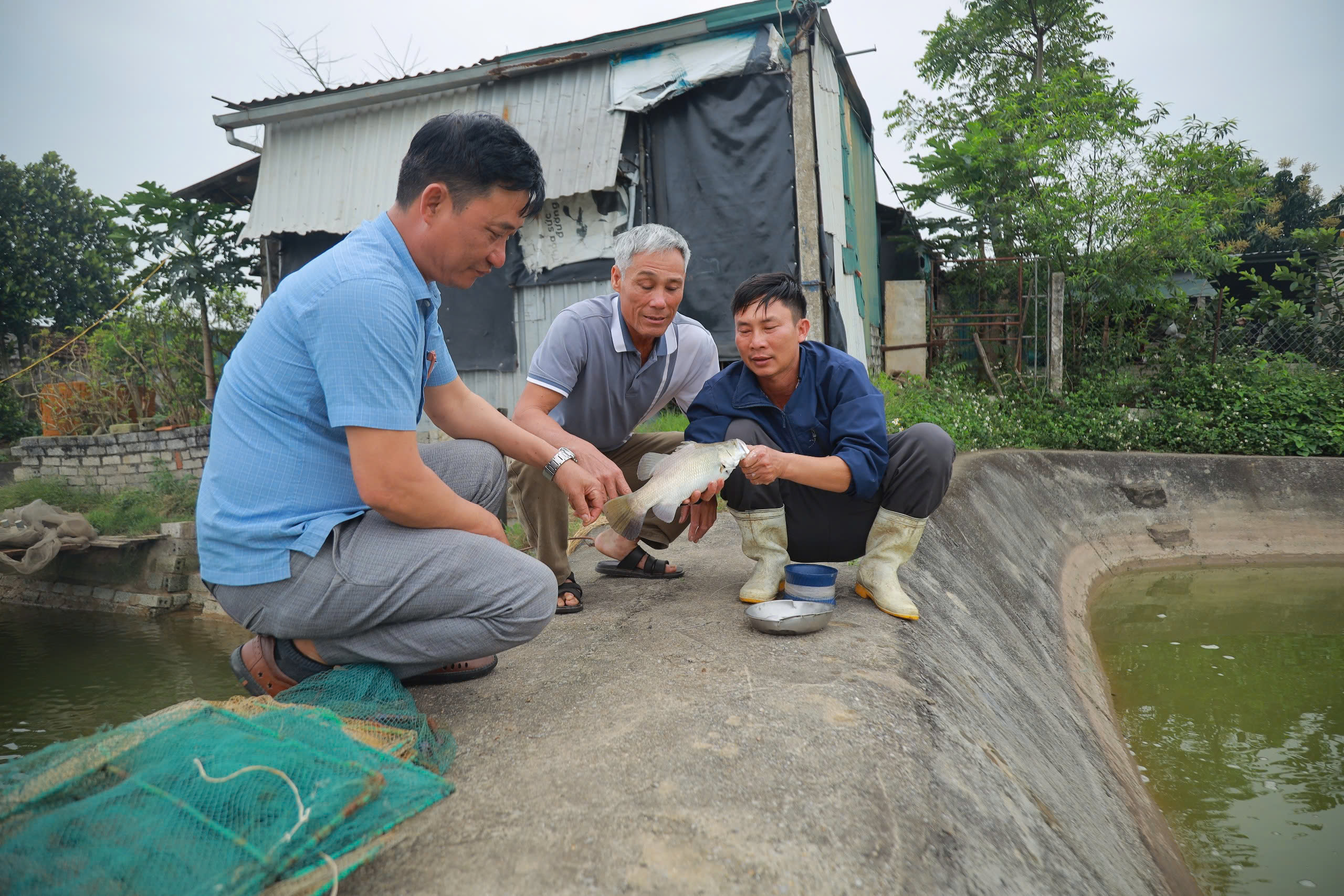 gen h ong ngo sy nam chu tich hoi nong dan xa dien van ao xanh thu nhat tu trai sang lang nghe nhung tam tu cua nguoi dan trong nghe