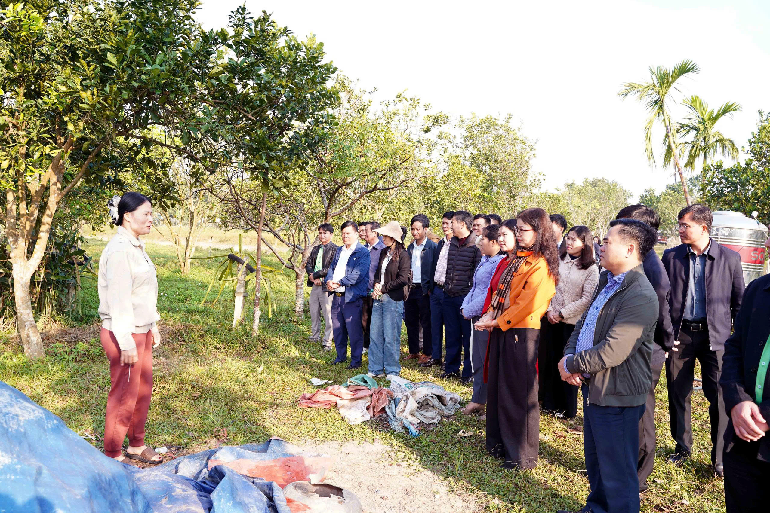 mo hinh cam o yen thanh 1