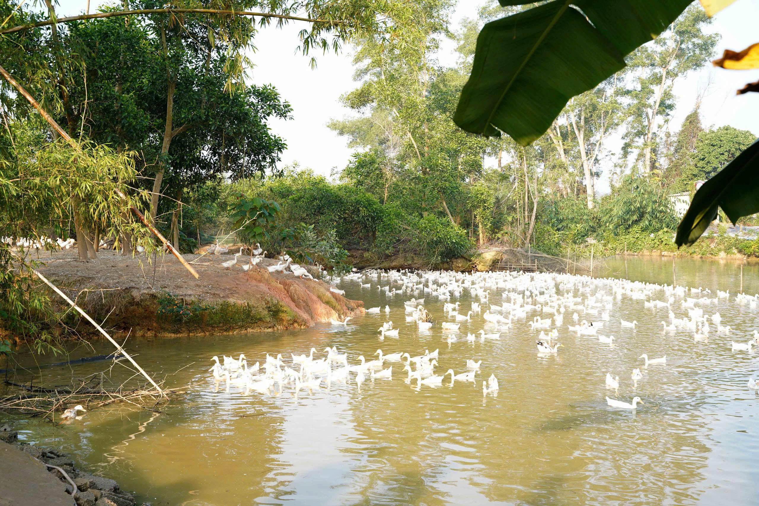 z7427753724100 93647f68055019a0d15a08c178de7aae