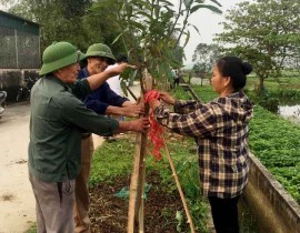 Hàng cây nông dân ơn Bác của Hội Nông dân xã Châu Nhân, huyện Hưng Nguyên