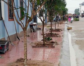 Hàng cây nông dân ơn Bác của Hội Nông dân phường Nghi Thủy, thị xã Cửa Lò