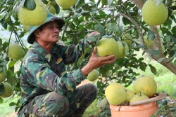 Nam Đàn: Những nhà nông sản xuất giỏi trên quê hương Bác Hồ