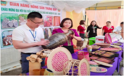 Hội Nông dân Con Cuông: Nhiều hoạt động thiết thực chào mừng Đại hội Hội Nông dân các cấp