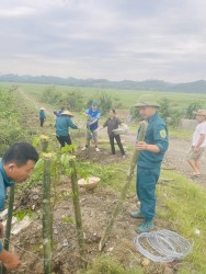 Hội ND Anh Sơn sôi nổi các hoạt động chào mừng thành công Đại hội HND tỉnh, kỷ niệm 93 năm ngày thành lập Hội Nông dân Việt Nam