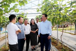 Kính mời bà con nông dân và cán bộ, hội viên, bạn đọc đặt câu hỏi đối thoại với Chủ tịch UBND tỉnh Nghệ An năm 2024