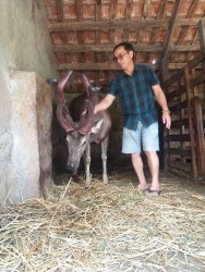 Phát huy hiệu quả hoạt động chi, tổ hội nông dân nghề nghiệp