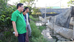 NÔNG DÂN QUỲNH ANH LÀM GIÀU TỪ NUÔI ẾCH