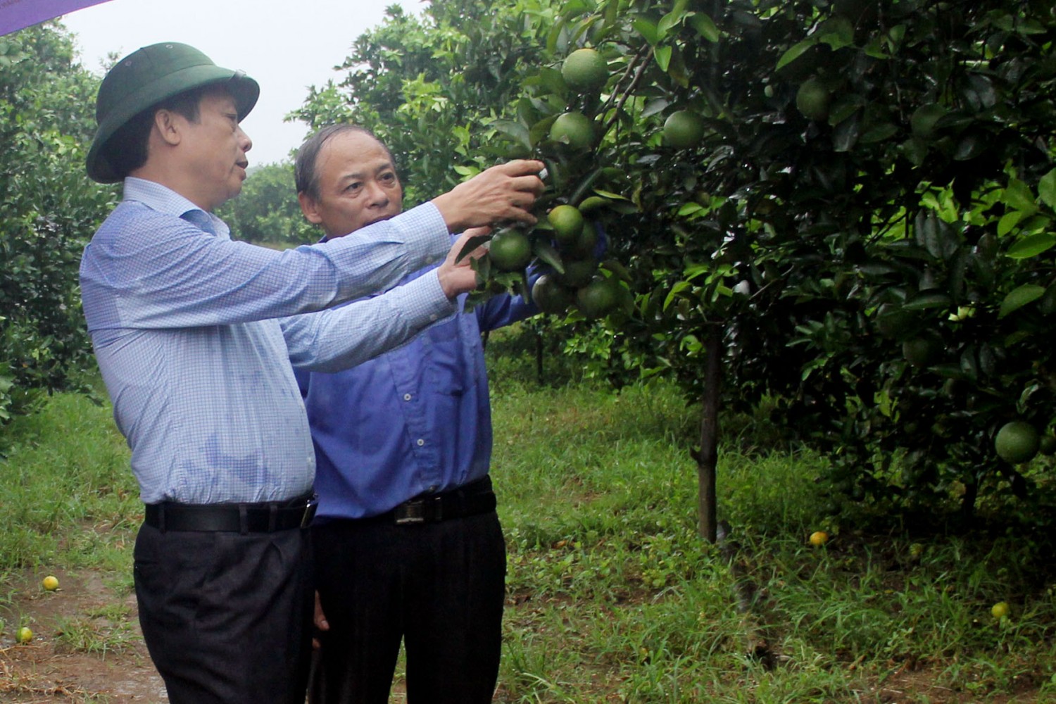 dong chi nguyen quang tungchu tich hoi nong dan tinh nghe an tham mo hinh trong cam an toan tai xa minh hop huyen quy hop