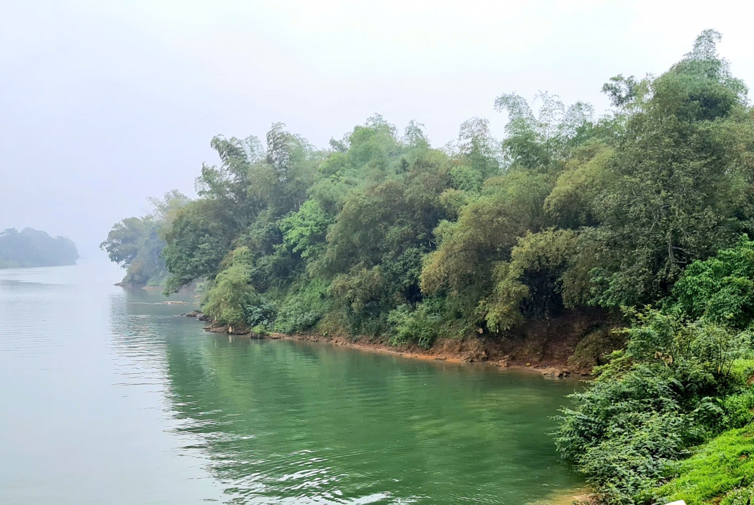 Một khúc đê Sông Lam được bảo vệ bởi những rặng tre kiên cố