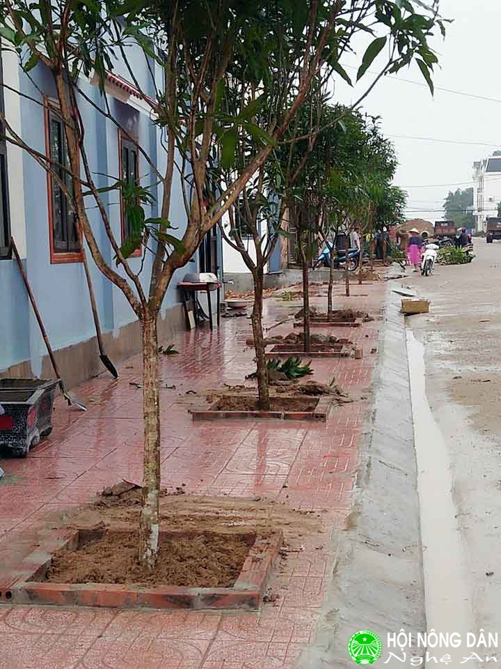 Hàng cây nông dân ơn Bác của Hội Nông dân phường Nghi Thủy,...